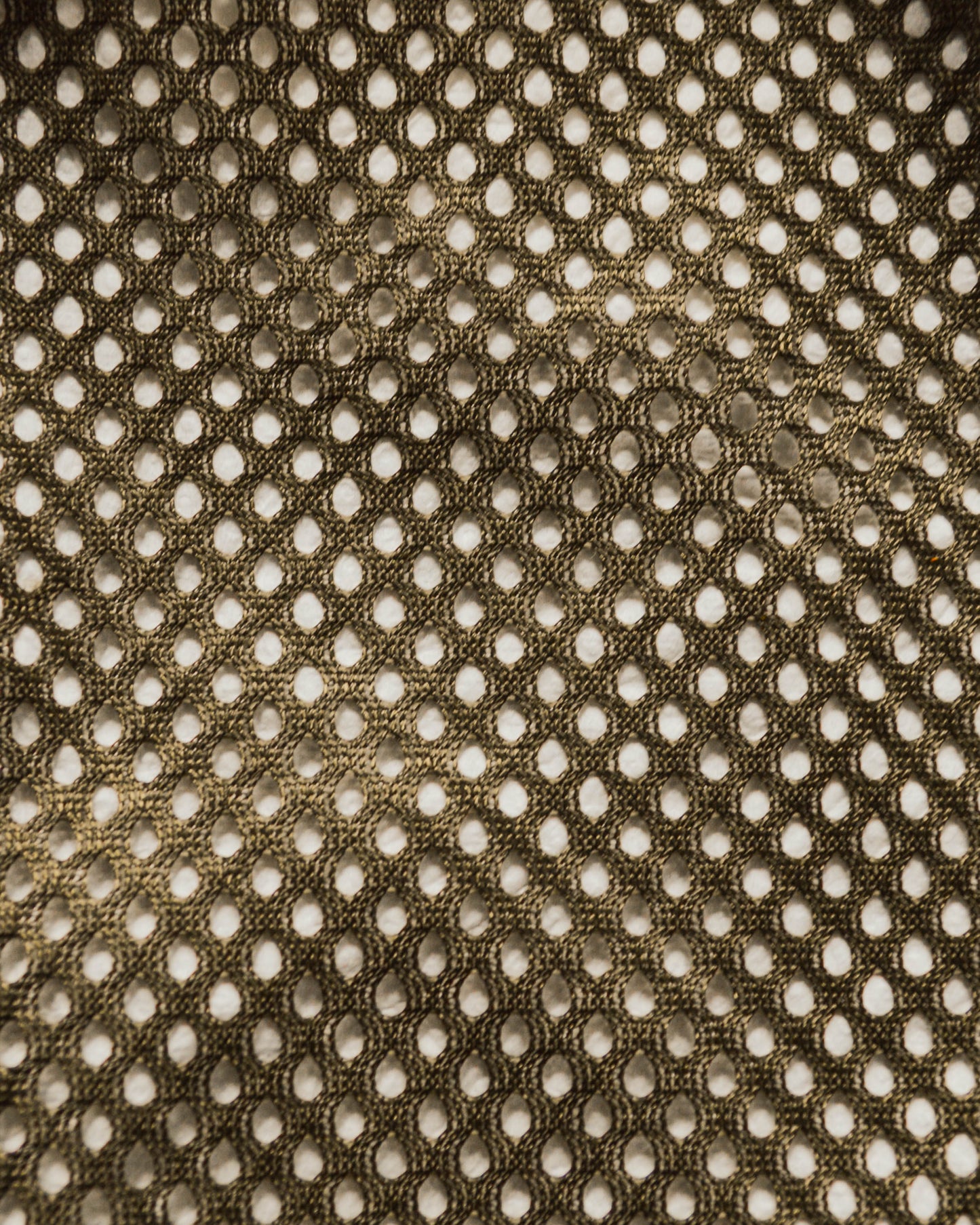 Autumn 1999 Mesh Skin Layer Fleece Olive Zip Up (S~M)