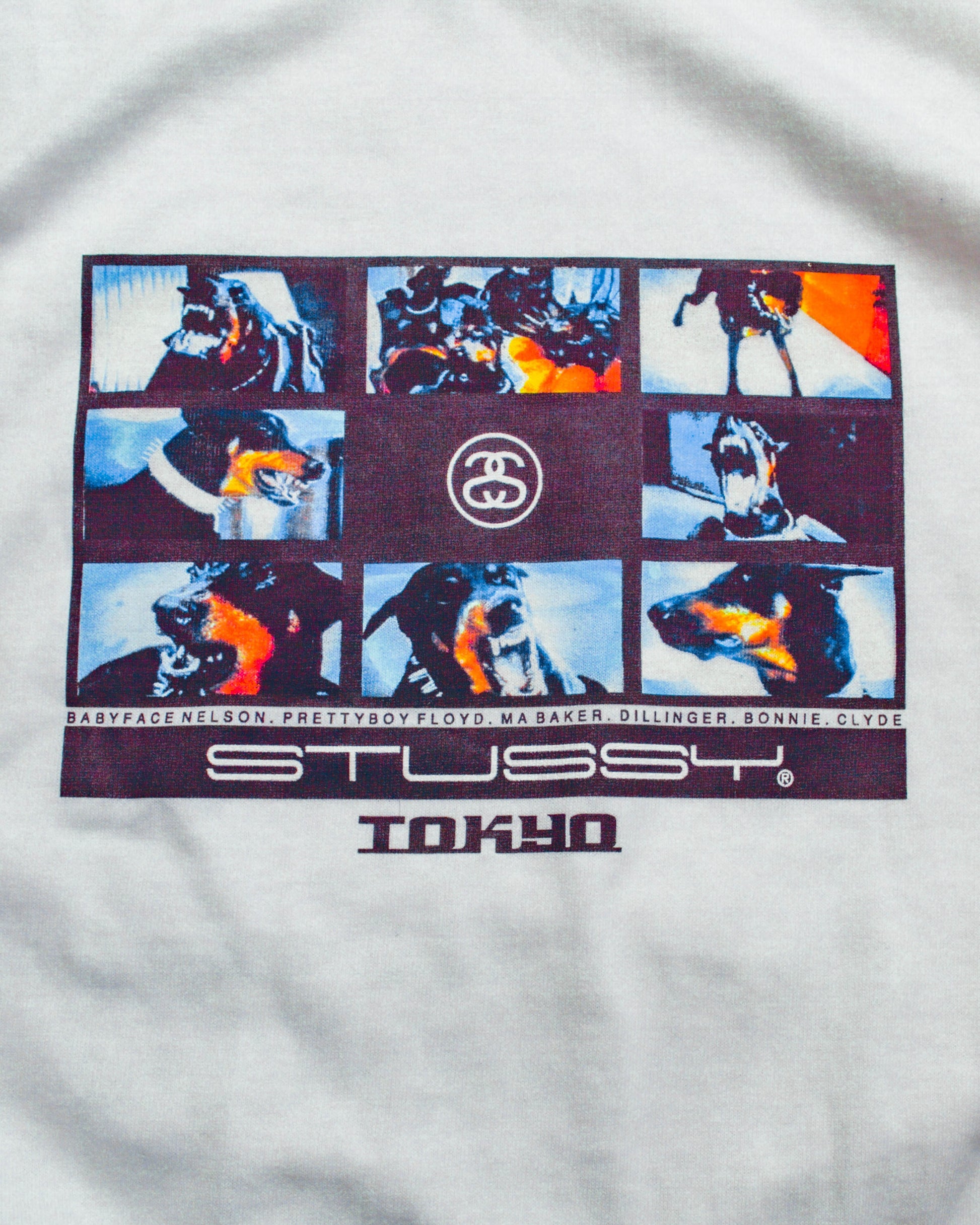 Stussy Tokyo Dog Graphic T-shirt (L)
